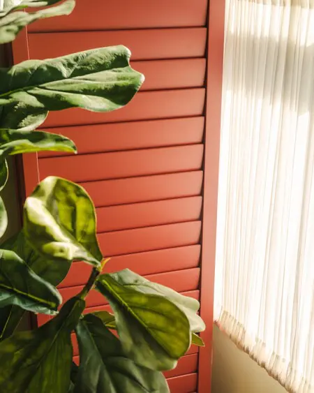 Coloured Shutters: Introducing Pickleson Paint’s Bold Palette thumbnail