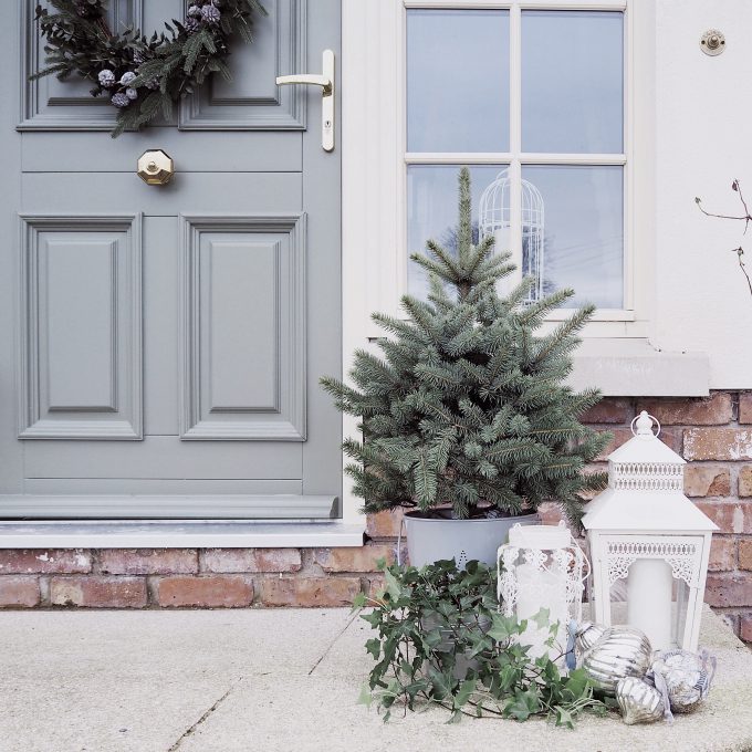 Small Christmas Tree Outside