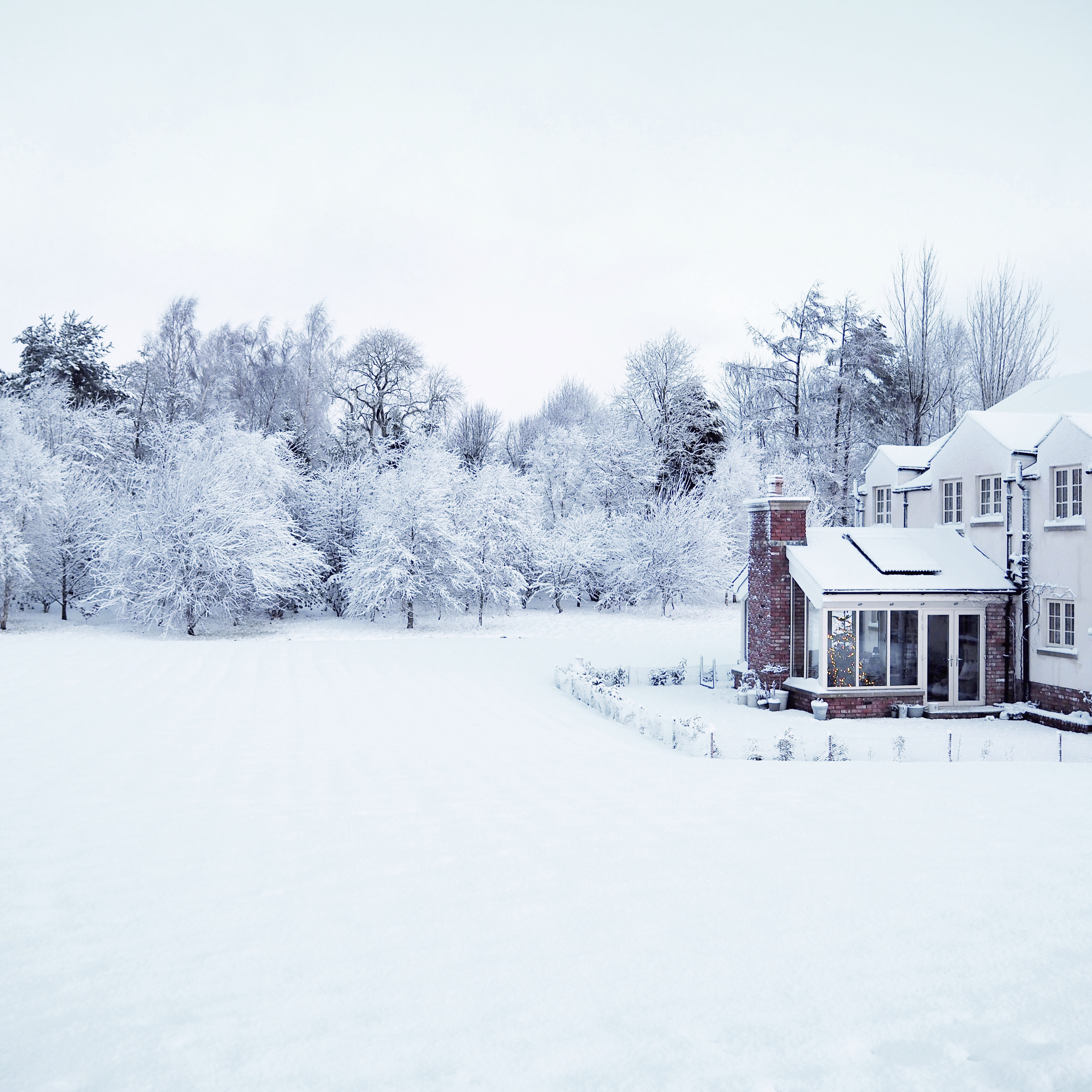 snow covered house and surrounding grounds