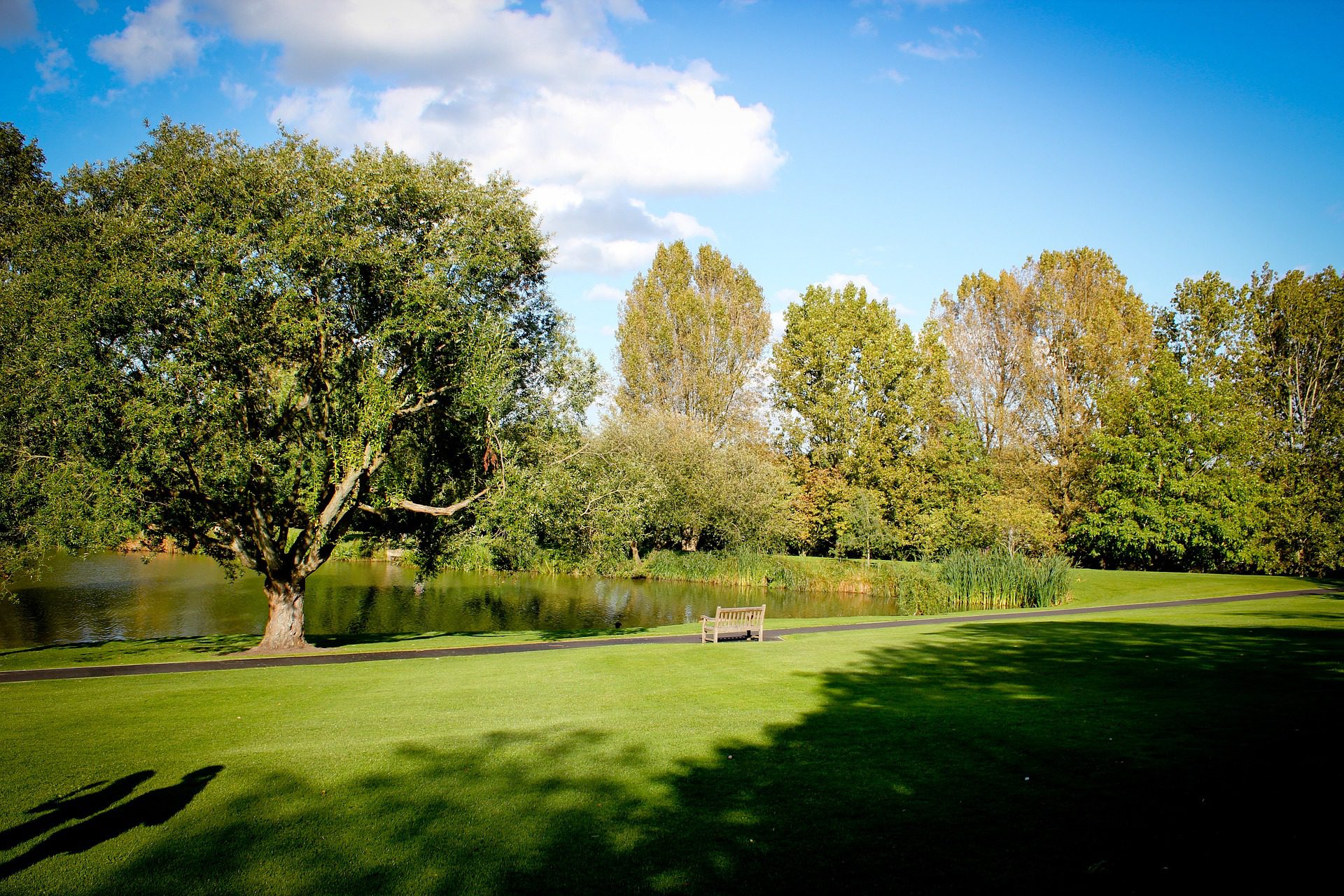 Surrey Lake