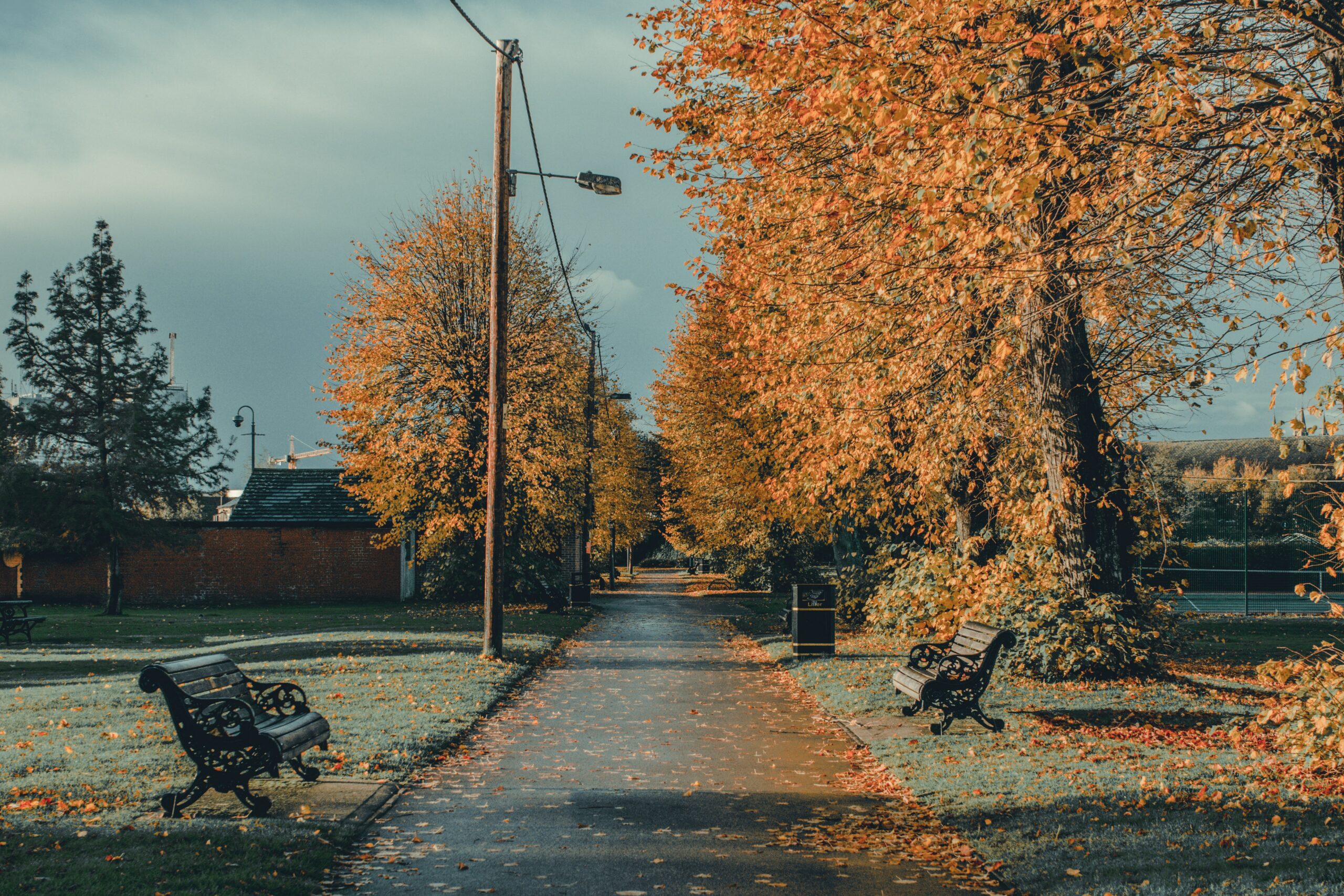 Path through a park