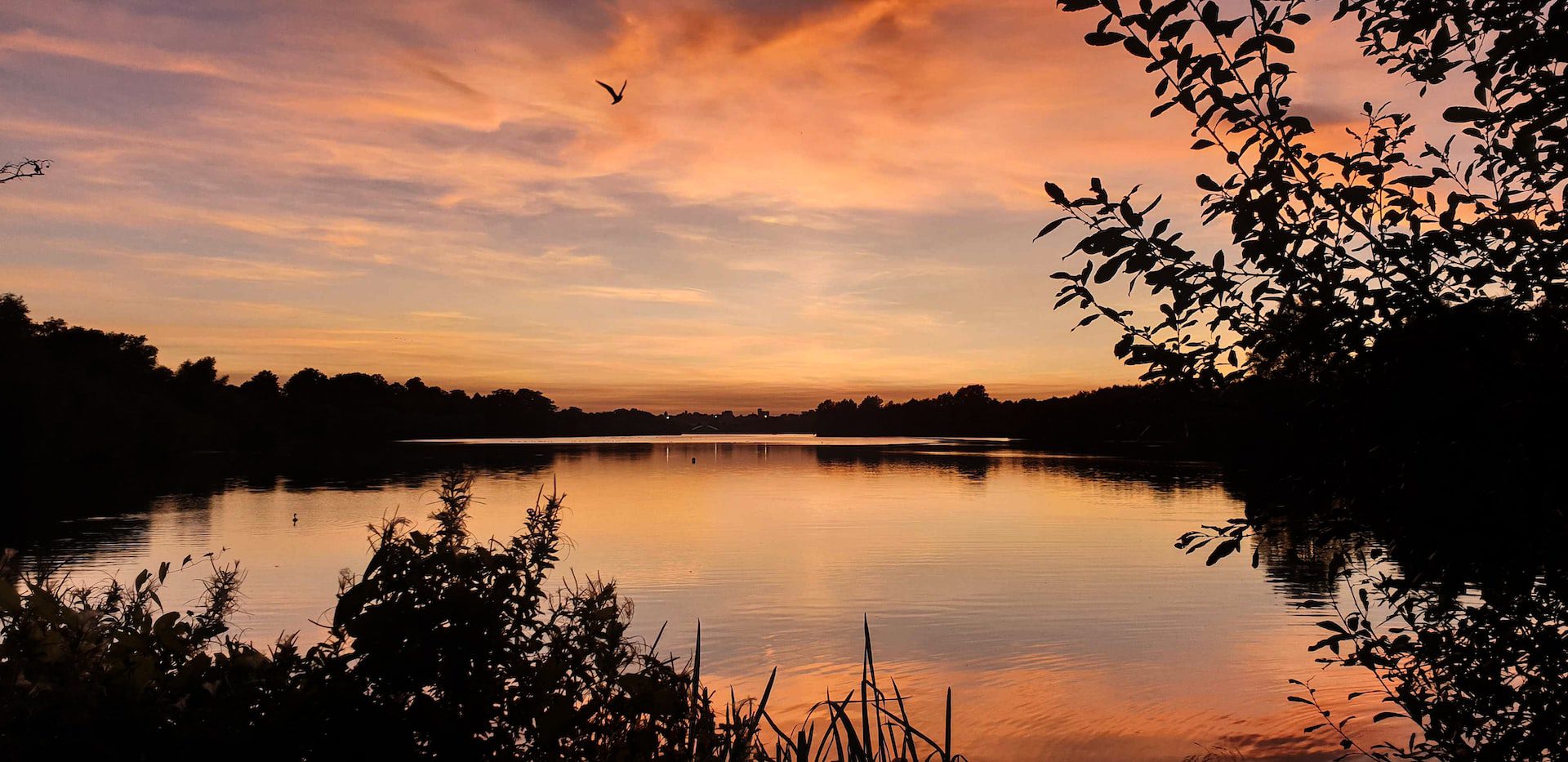 Whitlingham Great Broad