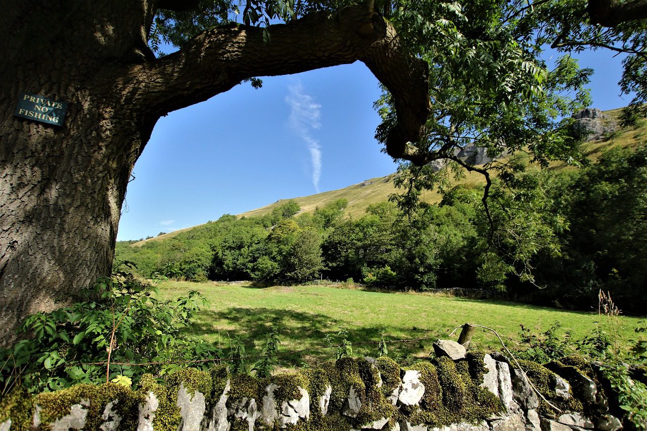 Derbyshire