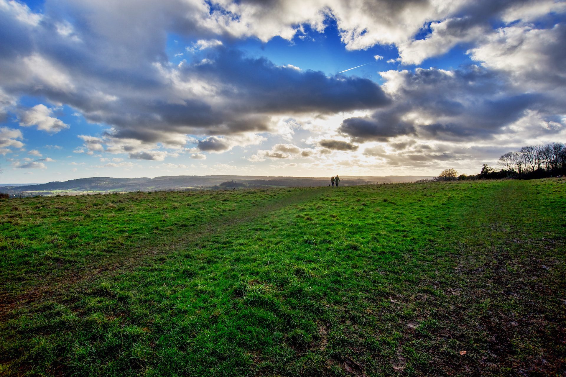 Reigate Hill